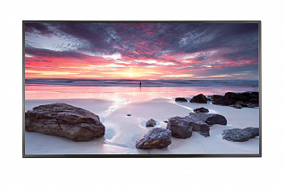 Интерактивная панель Samsung PM55F-BC