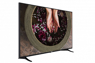Гостиничный телевизор Philips 65HFL2879T/12