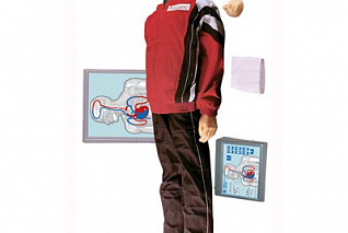 T 12 Максим III-01 Тренажер сердечно-легочной и мозговой реанимации