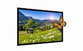 Экран Projecta HomeScreen Deluxe 235x366см