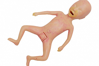 Тренажер-манекен недоношенного новорожденного Zarnitza