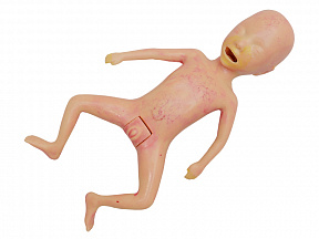 Тренажер-манекен недоношенного новорожденного Zarnitza