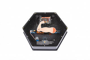 Модуль интерактивный Архимед с искуственным интеллектом "Спортивный тренажёр"