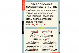Комплект таблиц для начальной школы «Русский язык. 1 класс» Новый диск
