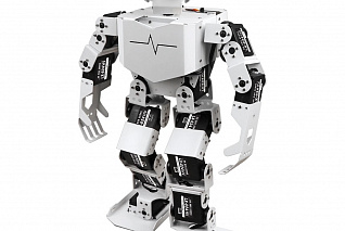 Андроидный робот Hiwonder Гуманоид Tonybot