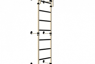 Шведская стенка КАРУСЕЛЬ Тинейджер пристенный вариант