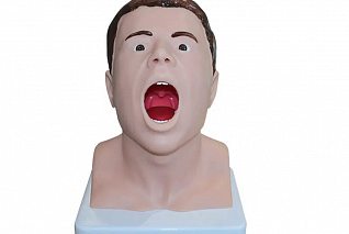 Тренажер взятия мазка из зева Zarnitza