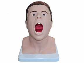 Тренажер взятия мазка из зева Zarnitza