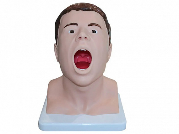 Тренажер взятия мазка из зева Zarnitza