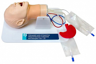 Тренажер для отработки практических навыков интубации Zarnitza ТПИ-1.03