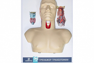 Тренажер трахеотомии Zarnitza