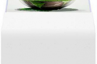 Напольный прозрачный дисплей AlfaDispLay ADLDI-55TR OLED LTG63