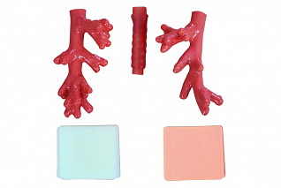 Комплект расходных материалов к тренажеру для отработки практических навыков интубации Zarnitza ТПИ-1.03