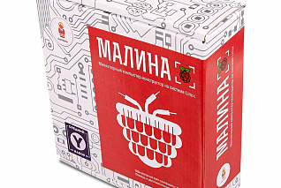 Образовательный набор Малина Y AMP-S018