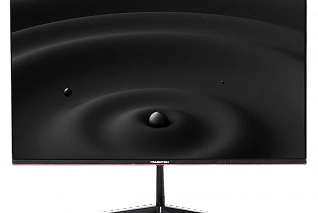 Монитор «Гравитон» МН24Б