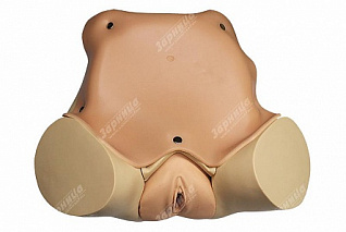 Комбинированный тренажер отработки навыков гинекологического осмотра