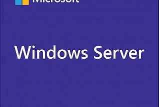 Лицензия Microsoft Windows Server CAL 2022 English 1pk DSP OEI 5 Clt Device CAL