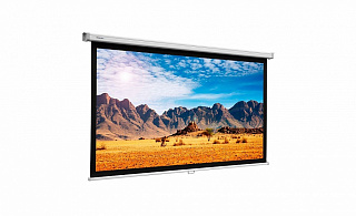 Проекционный экран Projecta Slimscreen 200х200 см