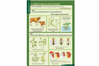 Комплект таблиц «Биология 10-11 классы. Цитология. Генетика. Селекция» Новый диск