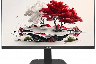 Монитор RDW 2501 СЕРИЯ 01