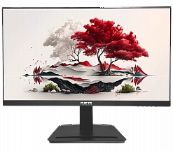 Монитор RDW 2501 СЕРИЯ 01