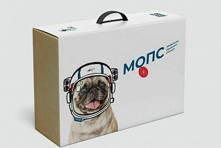 Инженерный конструктор МОПС