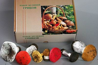 Муляжи "Набор грибов"