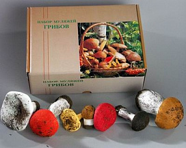 Муляжи "Набор грибов"