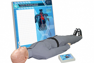 "Александр М-08" тренажер-манекен взрослого пострадавшего для отработки приемов сердечно-легочной реанимации (голова, туловище, конечности) с контроллером и настенным табло Zarnitza