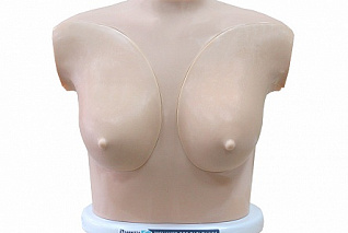 Тренажер для пальпации молочных желез и лимфатических узлов