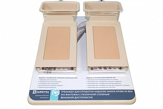 Тренажер для отработки навыков внутривенных процедур (на фантомах с различной степенью венозной доступности) Zarnitza