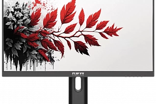 Монитор RDW2701 СЕРИЯ 01