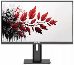 Монитор RDW2701 СЕРИЯ 01