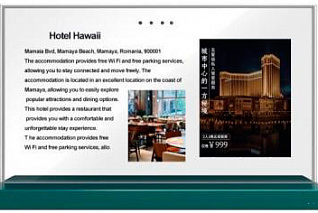 Настольный прозрачный сенсорный дисплей AlfaDispLay ADLDI-30TR OLED QTP6
