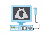 Кардиология