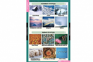 Комплект таблиц для начальной школы «Окружающий мир. 2 класс» Новый диск