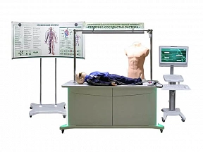 Лабораторно-диагностический учебный комплекс "Сердечно-сосудистая система"