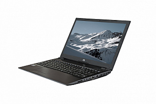 Ноутбук Raybook P1511 G1R