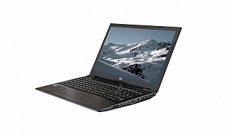Ноутбук Raybook P1511 G1R