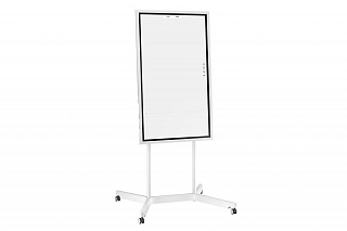 Trinity touch flipchart 42 с мобильным креплением