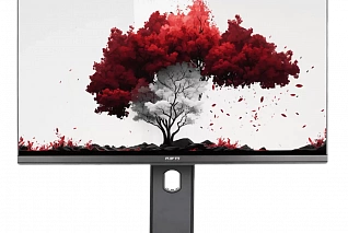 Монитор RDW 2402K