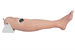 Тренажер для внутрикостных инъекций Zarnitza