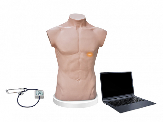 Тренажер для обучения физикальному осмотру ТФО-1.01 МП