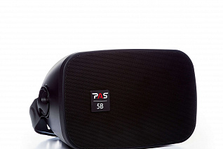 Настенная акустическая система премиум класса PASystem SONIC-5W