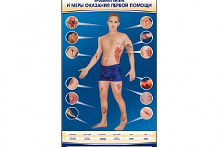 Электрифицированный стенд-тренажер Zarnitza "Травматизм и меры оказания первой помощи"