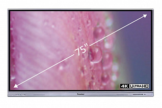Интерактивная панель SURWISE HS-75IW-L06PA