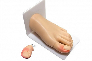 Тренажер для отработки навыков удаления вросшего ногтя Zarnitza