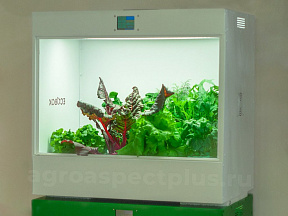 Агрокласс. Агролаборатория ECOBOX ED