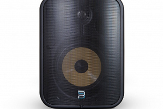 Сетевая активная двухполосная акустическая система 6,5" Bluesound Professional BSP1000 BLK