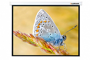 Экран с электроприводом Lumien Master Control LMC-100105 (1:1) 244x244 (236х236, MW)